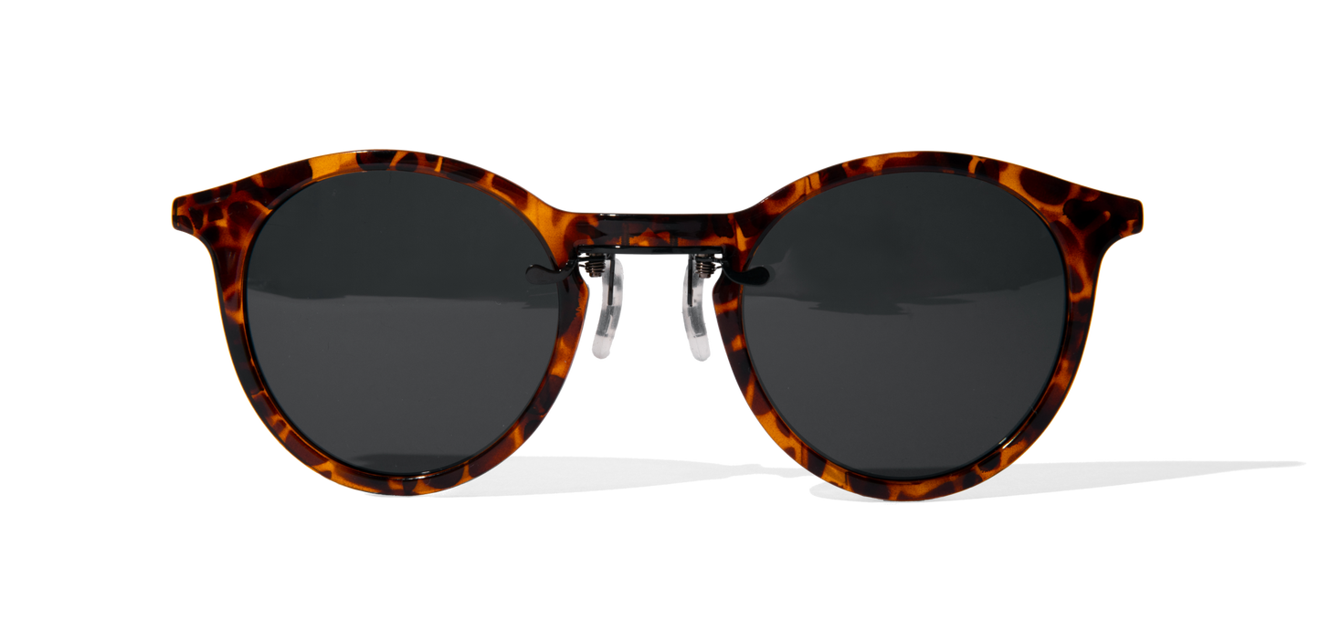 Luna Tortoise